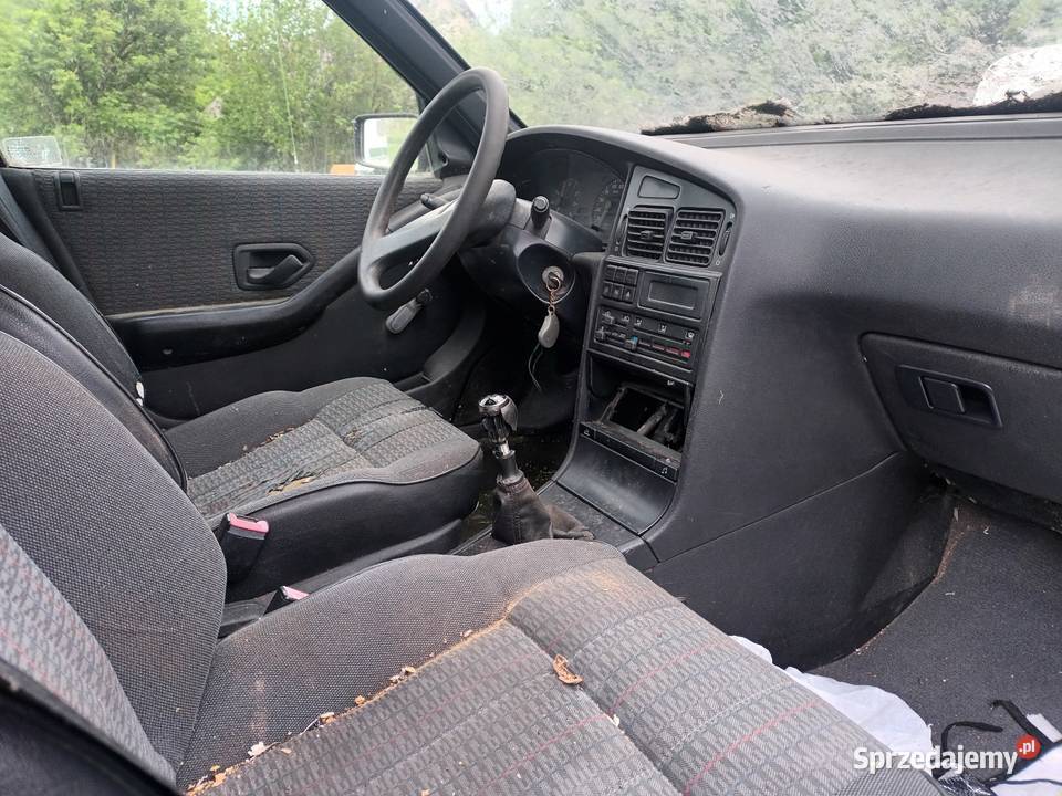 Peugot 405