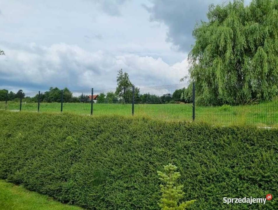 Panel ogrodzeniowy h 153 fi 4mm ral 7016 sprzedam