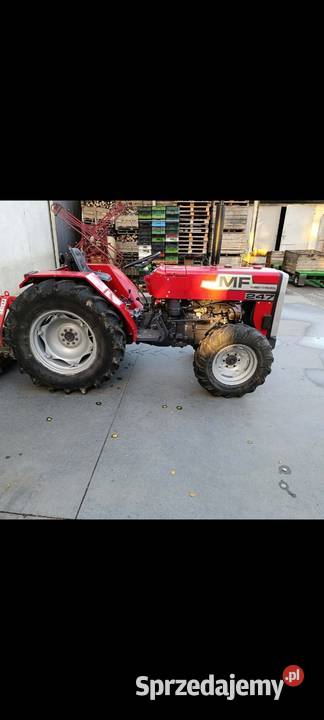 Massey Ferguson 247 sadowniczy wspomaganie łódzkie Olszowa Wola