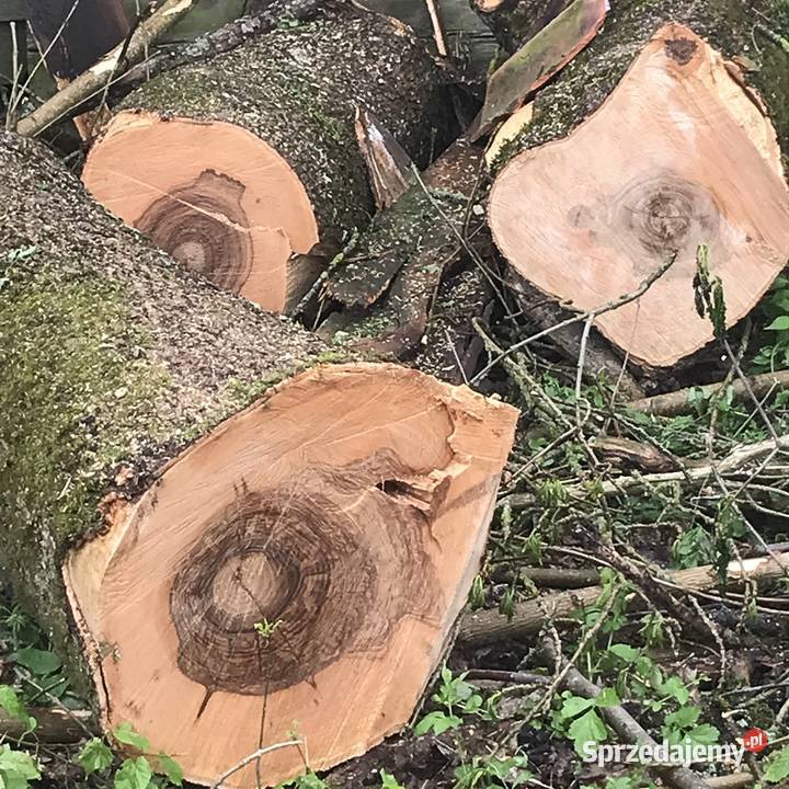 Drewno kominkowe opałowe budulec dł Jesion Dąb Zabłudów