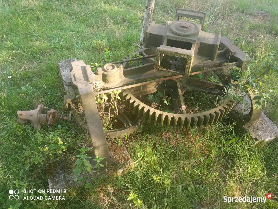 Kierat konny Kamienica Królewska