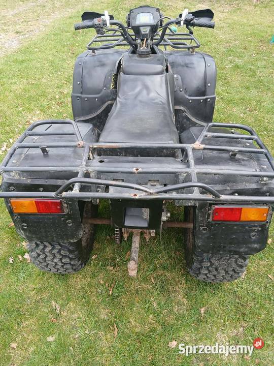 Quad 300ccm Jangrot