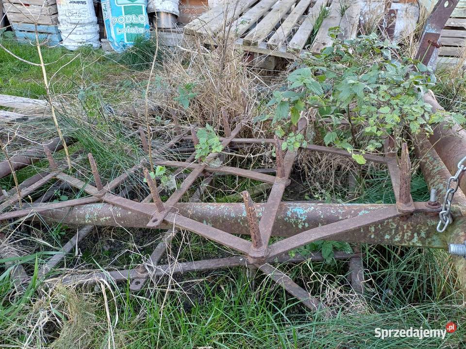 Brony lekkie 5ki Brony Wilczopole