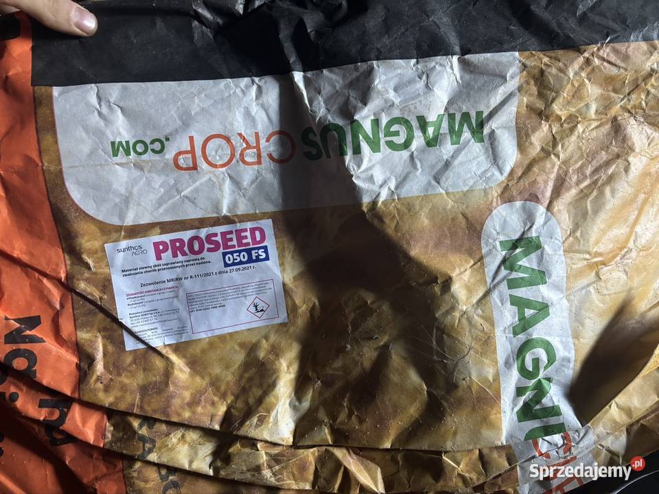 Owies rambo centrali 2025 Pilawa sprzedam