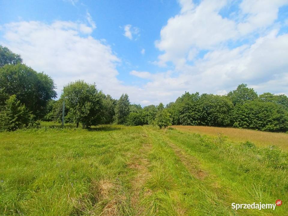 Działka budowlana Kołtki