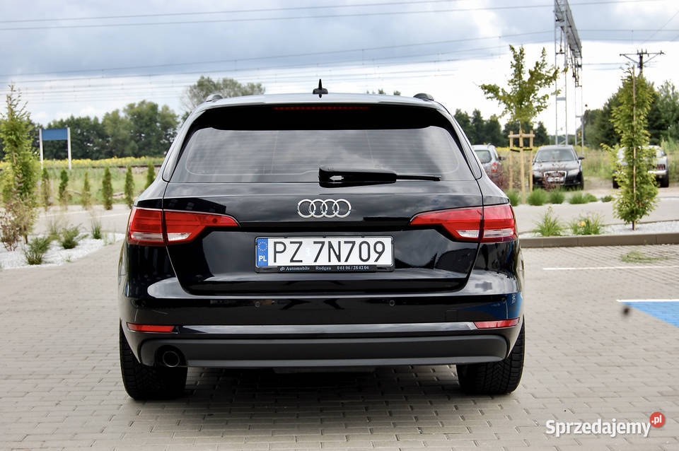 Audi A4 B9 20 tdi Samochody osobowe Poznań