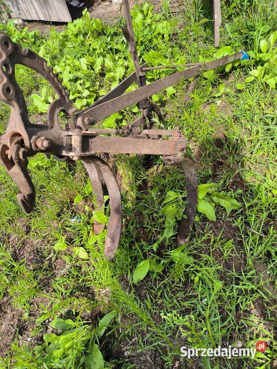 Opielacz konny Pułtusk