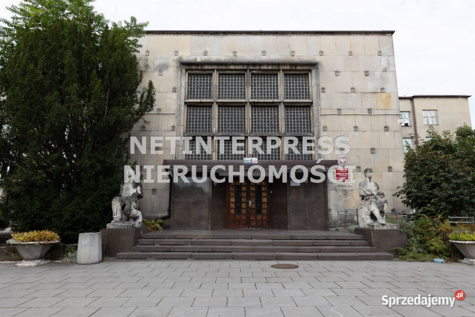 sprzedaży lokalu Sosnowiec 453708m2 śląskie sprzedam