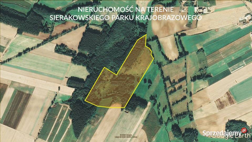 Teren pod rezydencję Piękna okolica wielkopolskie Ryżyn