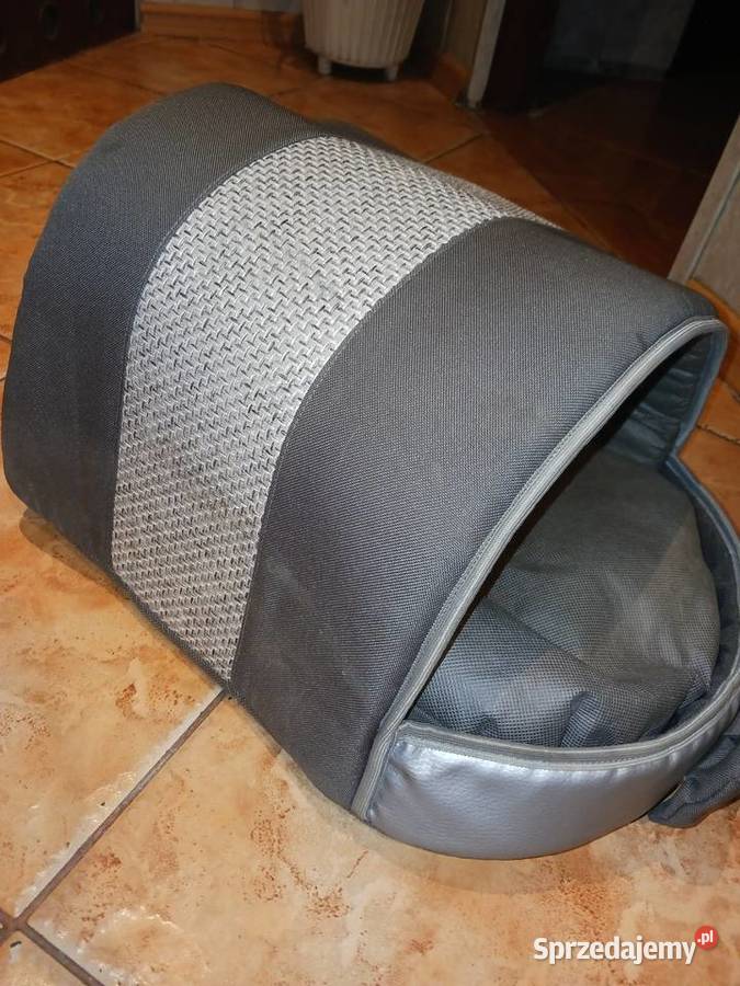 Kojec kota Ruda Śląska