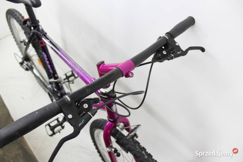 ROWER MTB GIANT KOŁA 26 21 BIEGÓW RAMA CRMO dolnośląskie Milicz
