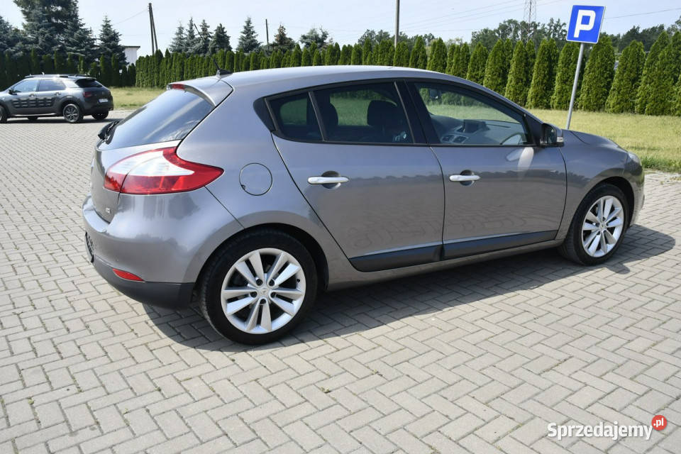 Renault Megane 19dci DUDKI11 Kutno