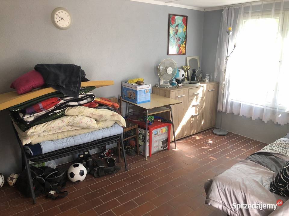 Działka rekreacyjna ROD Słoneczna Polana rekreacyjna Sprzedaż łódzkie Piotrków Trybunalski