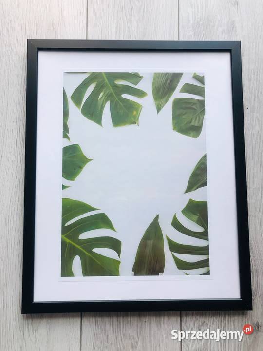 Obraz plakat liście zielony tropikalny natura 42 Łódź