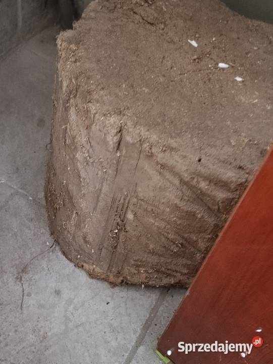 drewno drzewo pieńki sprzedam Poznań