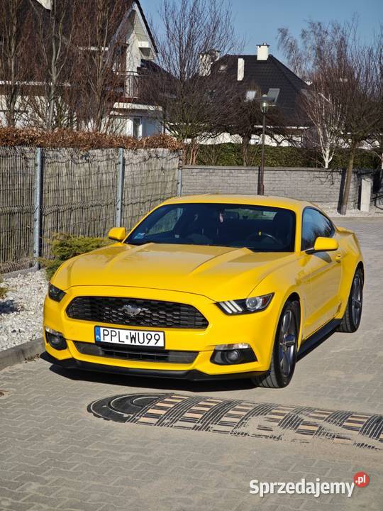 Ford Mustang 2015 37 V6 3700cm3 wielkopolskie Kalisz sprzedam