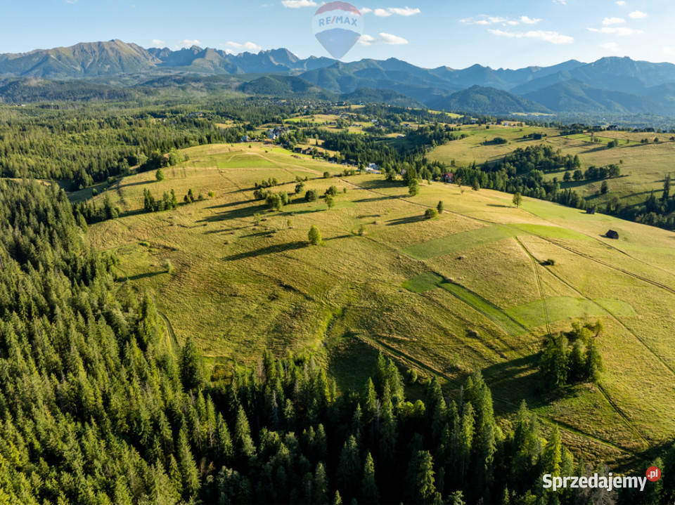 Działka rolno leśna Zakopane Sprzedaż sprzedam