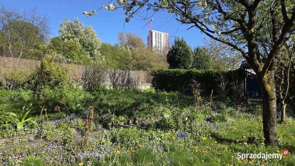 Katowice działka rod rodzinne ogródki działkowe Sprzedaż sprzedam