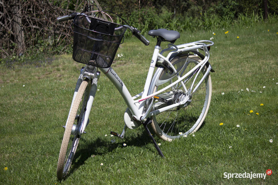 Rower Batavus Mamba Częstochowa