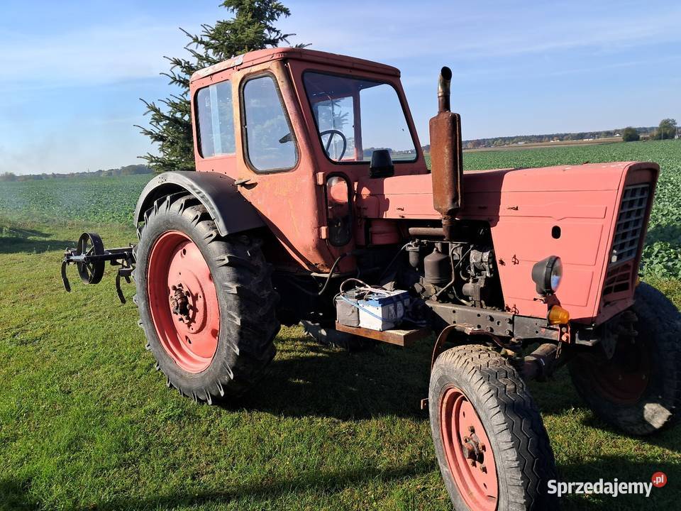 Ciągnik MTZ 82r Pławanice