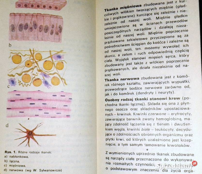 Medycyna w plecaku Artur Dziak Bogdan Odynski Chełm