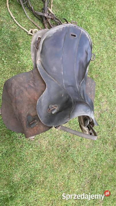 Jarzmo chomąto konia Warszawa