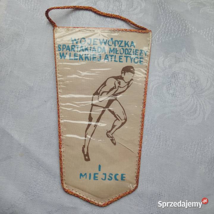 Proporczyki Szczecin 6 sztuk wszystkie 80 zachodniopomorskie