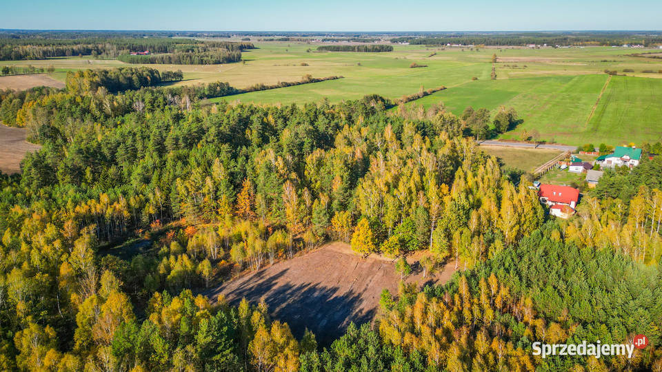 Wyjątkowe działki budowlane pośrodku lasu