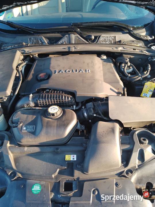 Jaguar xfs stan plus Rabowice