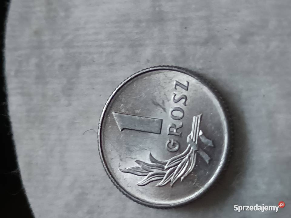 Sprzedam monetę 1 grosz 1949 r Chełm sprzedam
