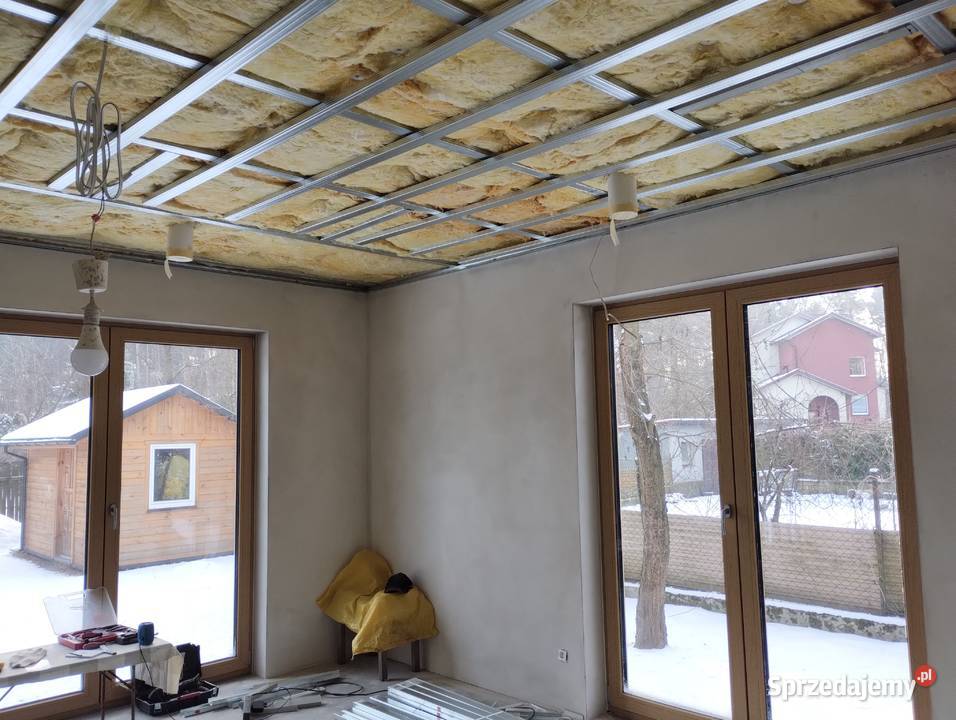 Sławków dom wolnostojący lasem sprzedam