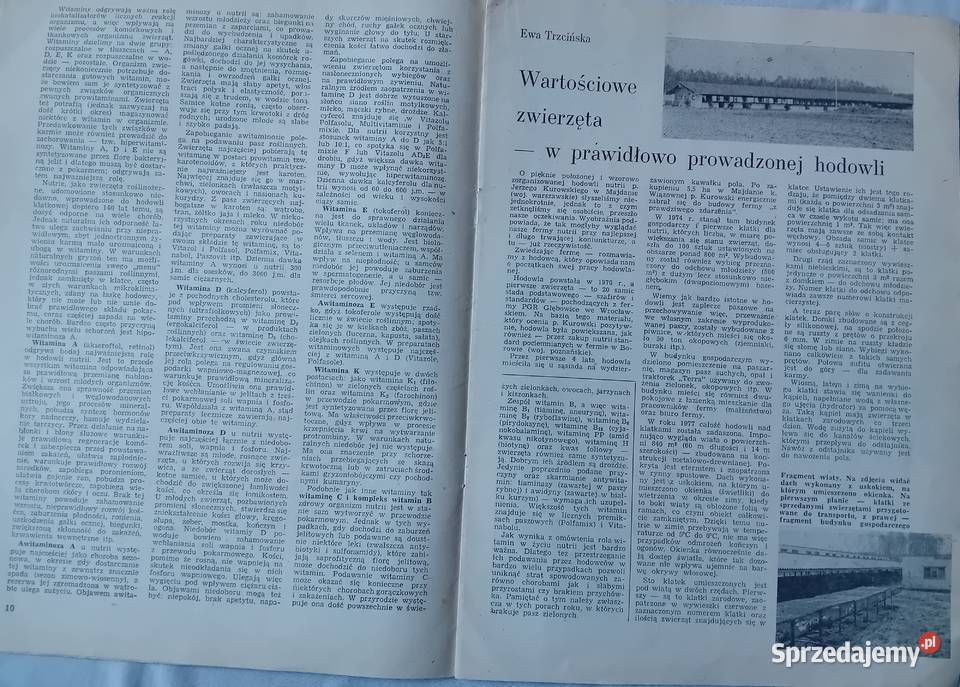 Hodowca Drobnego Inwentarza 6 1980 r Antykwariat