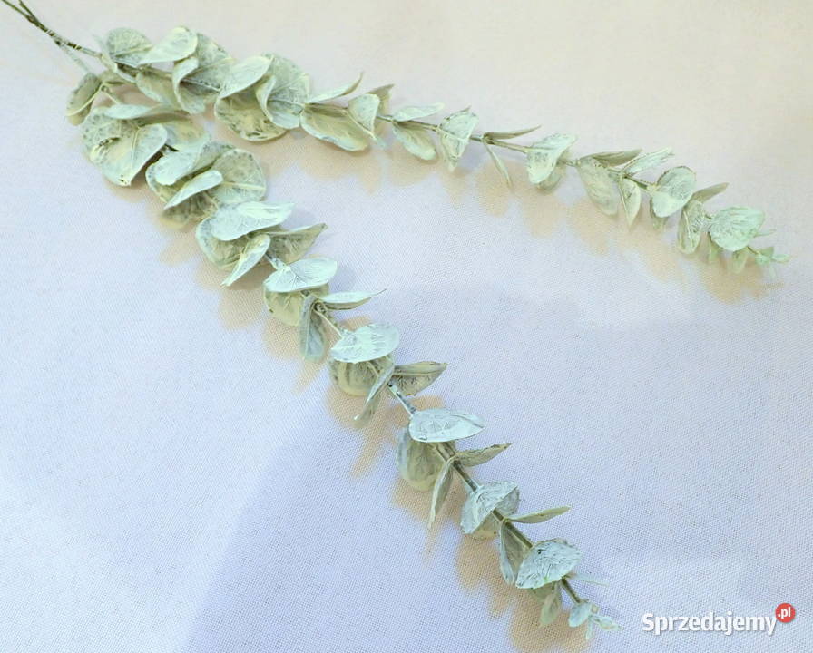 Dekoracja gałązka eukaliptusa ozdobna zielona 44 Siewierz