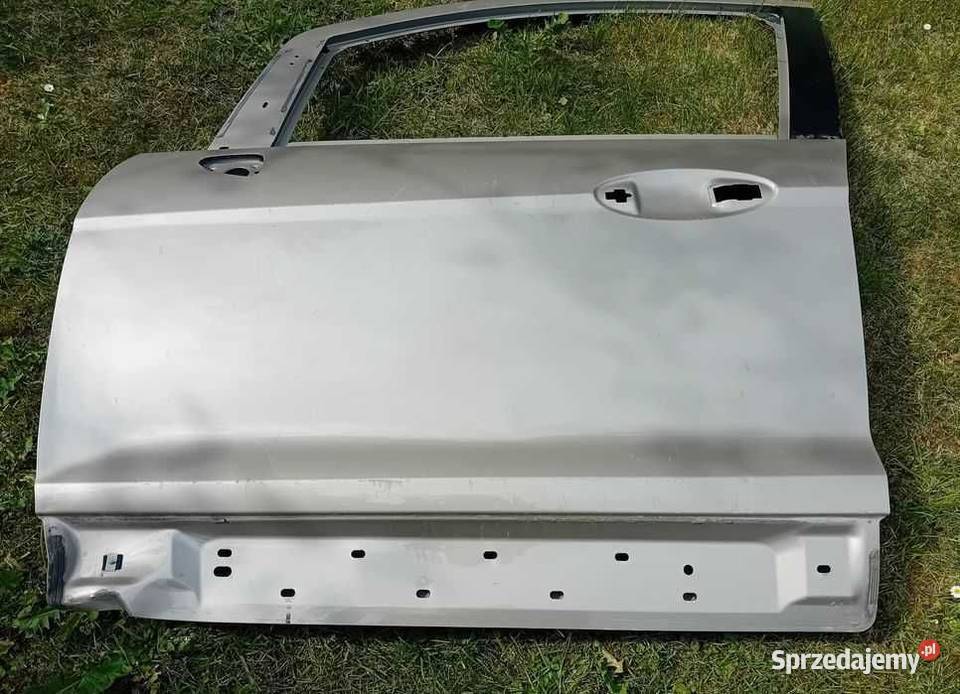 Ford EcoSport drzwi przednie lewe Przeźmierowo sprzedam