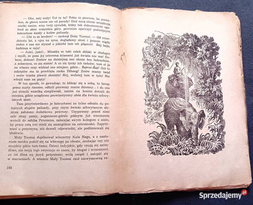 Rudyard Kipling Księga dżungli Wyd Polskie R Koźminek