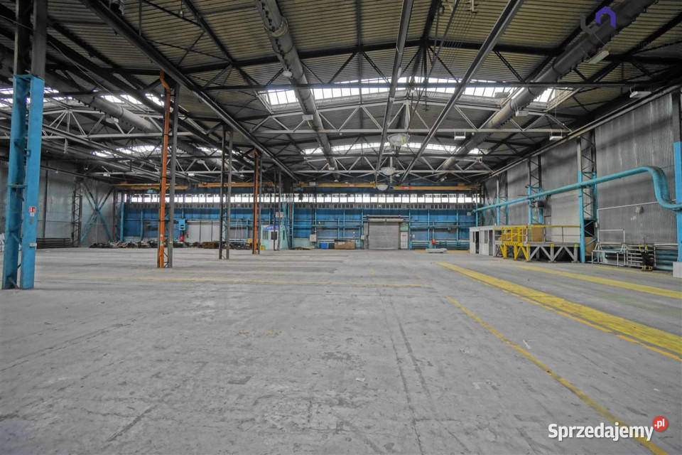 Ogłoszenie lokal 3050m2 Mikołów śląskie