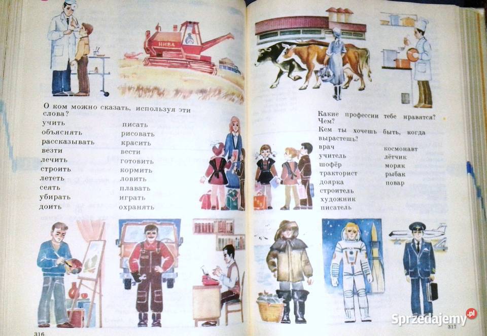 Russkij Jazyk w kartinkach Slowar Język rosyjski Pozostałe Chełm