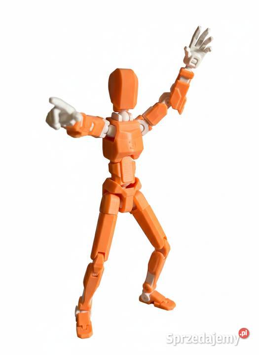 Dummy 13 Duża Figurka 3D 20 z PETG 20 Akcesoriów małopolskie