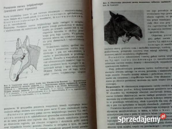 Choroby układu nerwowego u zwierząt Gancarz1976 medycyna, nauki medyczne Łódź