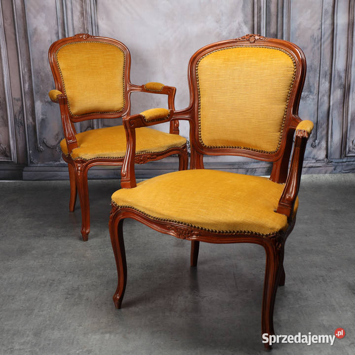 ARTexpert Para foteli Filip Ludwik fotel Dobrzany