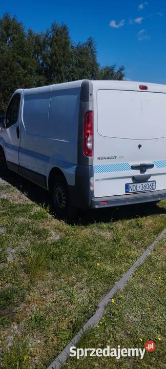 Renault trafic Braniewo