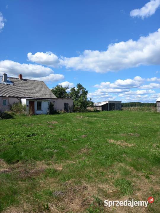 Dom 160m z działką 3700m w mieszkania Okazja 160m2 Sprzedaż Wysoka Krajeńska