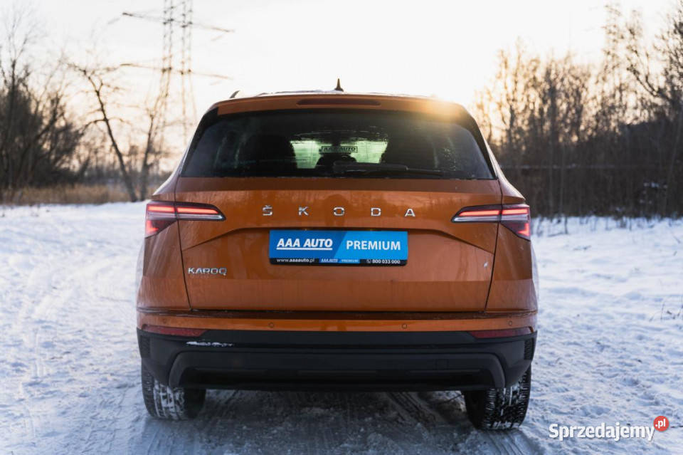 Skoda Karoq 15 TSI światła przeciwmgielne śląskie