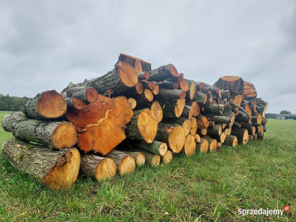 Sprzedam drewno opałowe Skrwilno