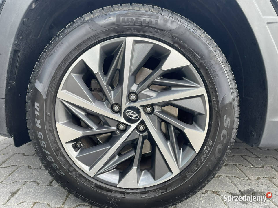 Hyundai Tucson 16TGDI 4WD 48V 180 7DCT Executive ESP