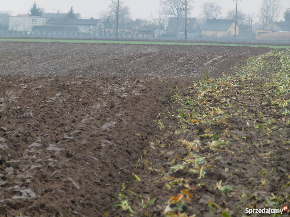 pług obrotowy hydrauliczny obracany krone c 360 Inowrocław