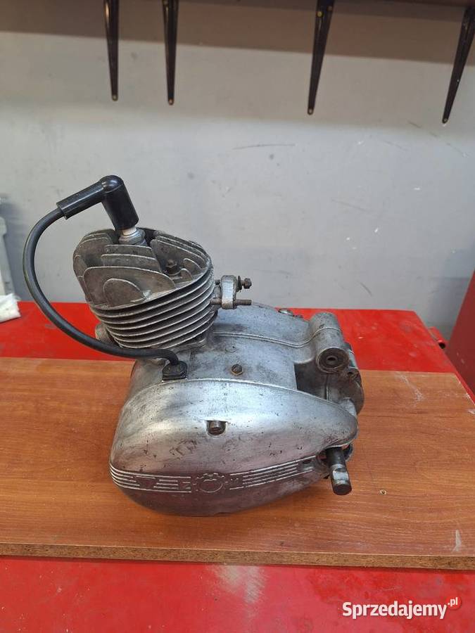 Komar sztywniak silnik S38 podkarpackie Krzywcza