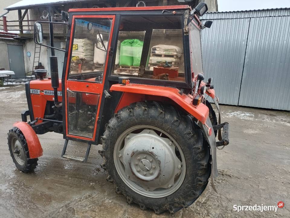 Massey Ferguson 255 małopolskie Charsznica