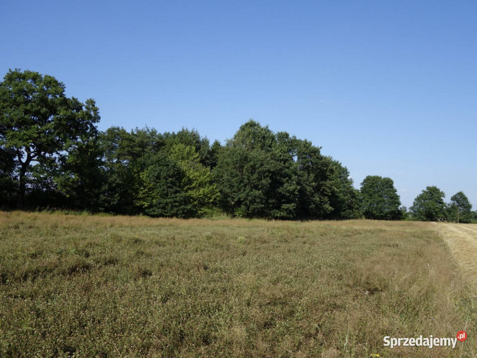 Skoczów Ochaby 57ar pod lasem widokowa pod 14zł/m2 Bielsko-Biała