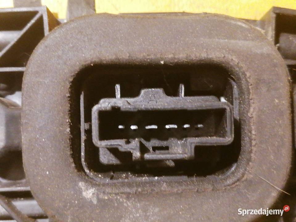 wkład żarówek lampy tył lewy 2556 Citroen C3 Piotrków Trybunalski sprzedam